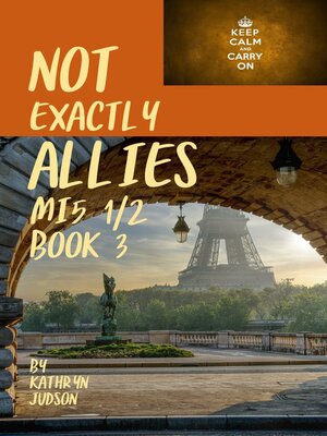 cover image of Not Exactly Allies